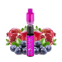 Wpuff Fusion 2.0 - 15 000 Puffs - Liquideo - Myrtille Grenade