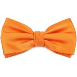 Cravates et accessoires Suitable noeud papillon en soie orange Orange