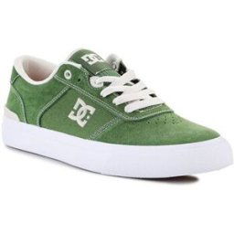 Chaussures de Skate DC Shoes Teknic S Jaakko Vert