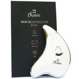 Masseur Facial Anti-Rides Vibrant et Rechargeable
