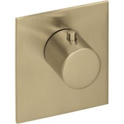 Herzbach Logic XL 21.500100.2.41 Laiton Acier, pour module thermostatique simple, 110x100mm