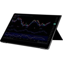 Joy-it Joy-View 13 Moniteur tactile CEE: A (A - G) 33.8 cm (13.3 pouces) 1920 x 1080 pixels 16:9 USB-C® (USB 3.2 Gen 1), mini-HDMI™, Micro USB, audio, stéréo