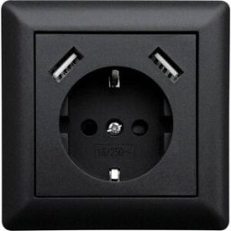 LEDmaxx USB1002 simple Prise de courant encastrable avec USB, sécurité enfants noir