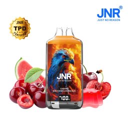 JNR Falcon 28000 Puff Cherry Watermelon Freeze 2% Nicotine (100% légale)