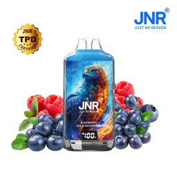 JNR Falcon 28000 Puff Blueberry Sour Raspberry 2% Nicotine (100% légale)