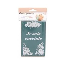 Color Pop Cartes Étapes Grossesse - 13 Cartes - Pochette 13 cartes