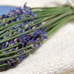 Cap Adrénaline Atelier création d'un fuseau de lavande au cœur d'un Mas provençal près de Nîmes