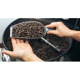 Cap Adrénaline Atelier découverte de l'univers du café à Paris 12ème