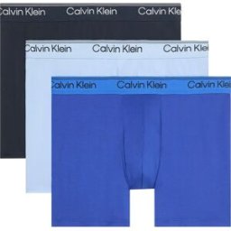 Calvin Klein Boxers Lv00nb4410 Brief 3 Unités Shoreline / Royalty / Blue Bell S Homme