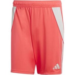Adidas Short Tiro 24 Shock Red S Homme