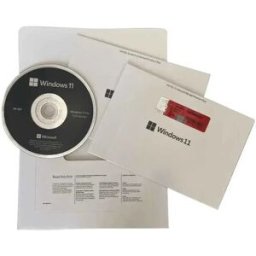 Microsoft Système D´exploitation Ms Sb Windows 11 Pro 64bit Fr Grey One Size unisex