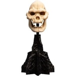Weta Workshop Figure Lord Of The Rings Mini Skull Of Lurtz 14 Cm Multicolor One Size unisex