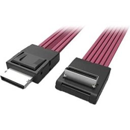 Intel Câble Sff-8611 700 Mm Black One Size unisex