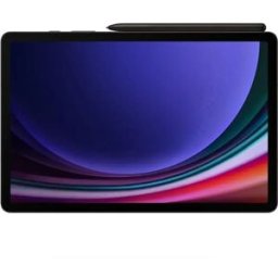 Samsung Tablette Galaxy Tab S9 5g 12gb/128gb 14.6´´ Gray One Size unisex