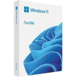 Microsoft Système D´exploitation Ms Sb Windows 11 Home 64bit Fr Grey One Size unisex