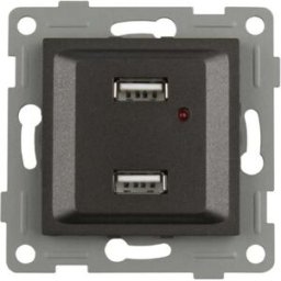 Onlex Double Usb 16a 250v Graphite One Size unisex