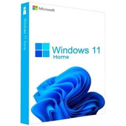 Microsoft Système D´exploitation Windows 11 Home Dvd Os White One Size unisex