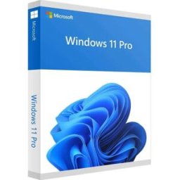 Microsoft Système D´exploitation Ms Sb Windows 11 Pro For Workstations Uk Grey One Size unisex