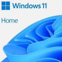Microsoft Système D´exploitation Ms Sb Windows 11 Home 64bit De Grey One Size unisex