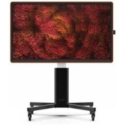 Ctouch Écran Tactile 10052565 65´´ 4k Led Black One Size unisex