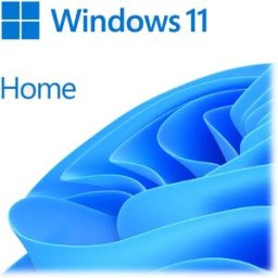 Microsoft Système D´exploitation Ms Sb Windows 11 Home 64bit Uk Grey One Size unisex