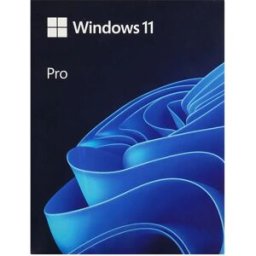 Microsoft Système D´exploitation Windows Pro 11 32/64bit Usb Black One Size unisex
