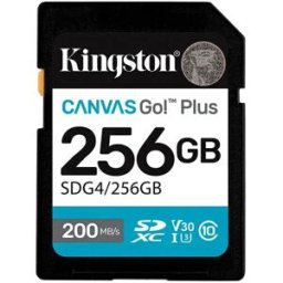 Kingston Carte Sd Sdxc Canvas Go Plus Gen4 C10 Uhs-i U3 V30 256gb Black One Size unisex