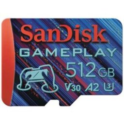 SanDisk Carte Sd Uhs-i 256 Go Pour Le Jeu Black One Size unisex