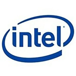 Intel Bloc D´alimentation Tliacpsu003 600w Silver One Size unisex