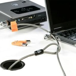 Dell Câble De Sécurité Pour Ordinateur Portable 461-10053 Black / Silver One Size unisex