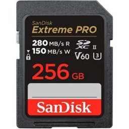 SanDisk Carte Sd Sdxc Uhs-ii Clase 10 256gb Black / Gold One Size unisex
