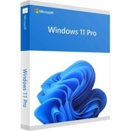 Microsoft Système D´exploitation Windows 11 Pro Dvd Os White One Size unisex
