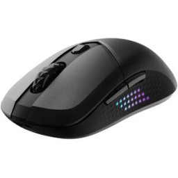 MSI Souris De Jeu Sans Fil Versa 300 Elite Black One Size unisex