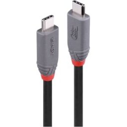 LINDY Câble USB-C USB4™ USB-C® mâle 2.00 m noir 36958