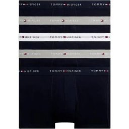 Tommy Hilfiger Boxers Um0um03893 Trunk 5 Unités Des Sky / Antique Silver / White L Homme
