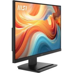 MSI Moniteur Portable Mp241 Black One Size unisex