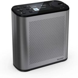 Sharp Radio Numérique Dr-p530 Osaka Black One Size unisex