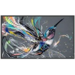 Philips Écran 43bdl3511q/00 43´´ Full Hd Ips Led One Size unisex