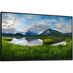 Dell Écran P2425he 23.8´´ Fhd Ips Led 100hz Black / Silver One Size unisex