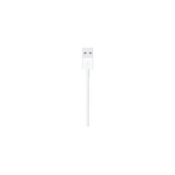 Apple cable Lightning - Lightning / USB - 1 m