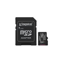 Kingston Canvas Select Plus - carte memoire flash - 256 Go - microSDXC UHS-I