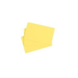 Evolis - cartes - brillant - 100 carte(s) - 85.6 x 54 mm