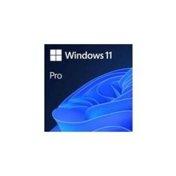 Microsoft Windows 11 ProfessionnelÂ - licence - 1 licence
