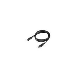IBM - cable USB - 24 pin USB-C pour 24 pin USB-C - 1 m