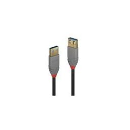 Lindy Anthra Line - rallonge de cable USB - USB type A pour USB type A - 1 m