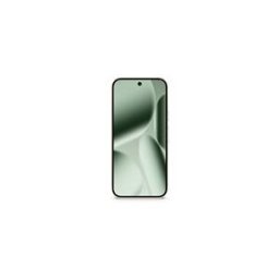 Google Pixel 10 Pro - vert jade - 5G smartphone - 256 Go - GSM