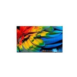 Philips 43HFL6214U Professional MediaSuite - 43 TV LCD retro-eclairee par LED - 4K - pour soins de sante/hÃ´tel