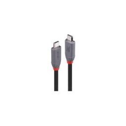 Lindy Anthra Line - Cable USB de type-C - 24 pin USB-C pour 24 pin USB-C - 1.5 m