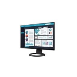 Eizo FlexScan EV2495-BK - avec FlexStand - ecran LED - 24.1