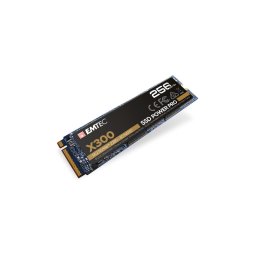X300 256 Go M.2 PCI Express 3.0 NVMe 3D NAND